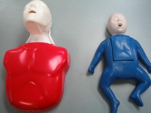Adult and Infant CPR Mannequins used during Standard First Aid