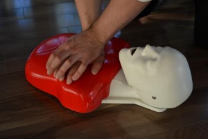 CPR vs. defibrillation